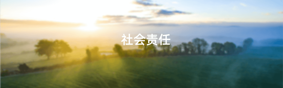 808钱包官网 - 新一代安全数字支付钱包工具